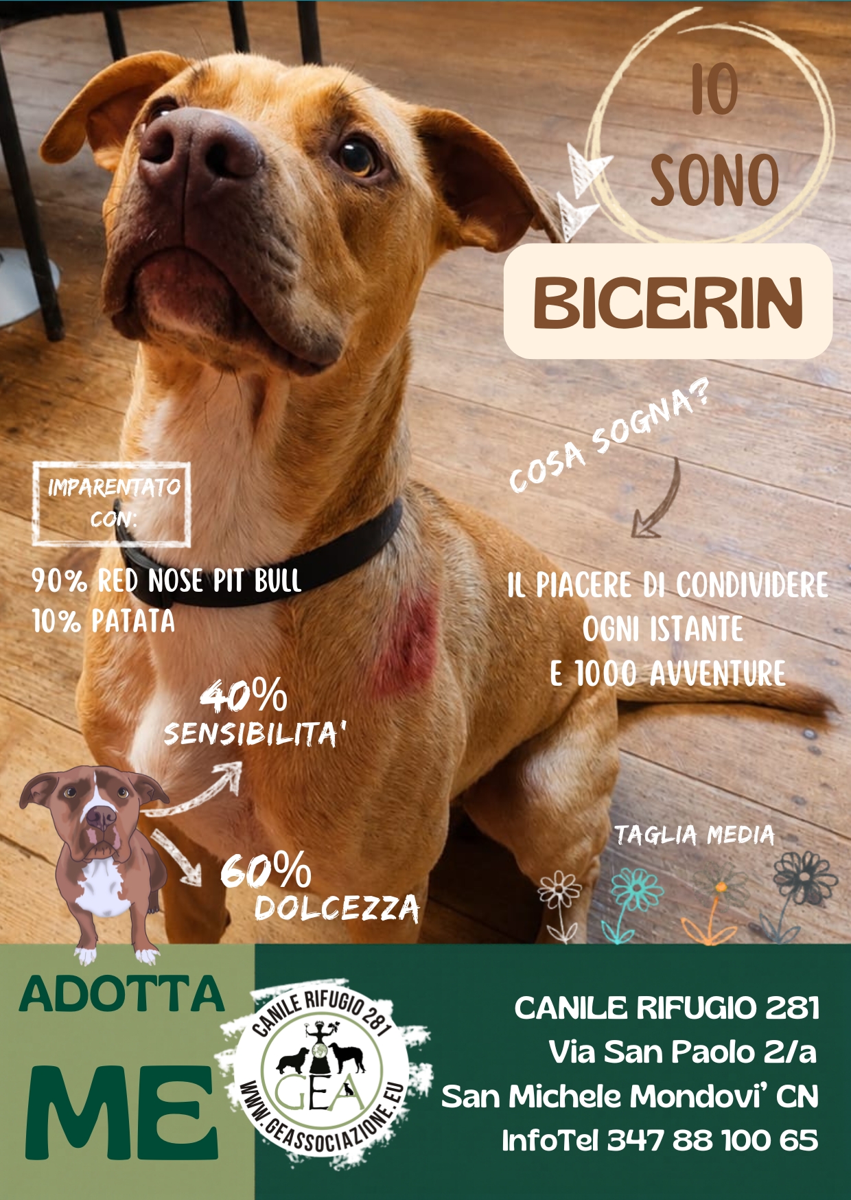 BICERIN