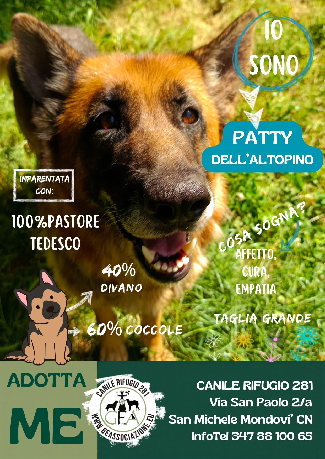 PATTY dell’ALTOPINO