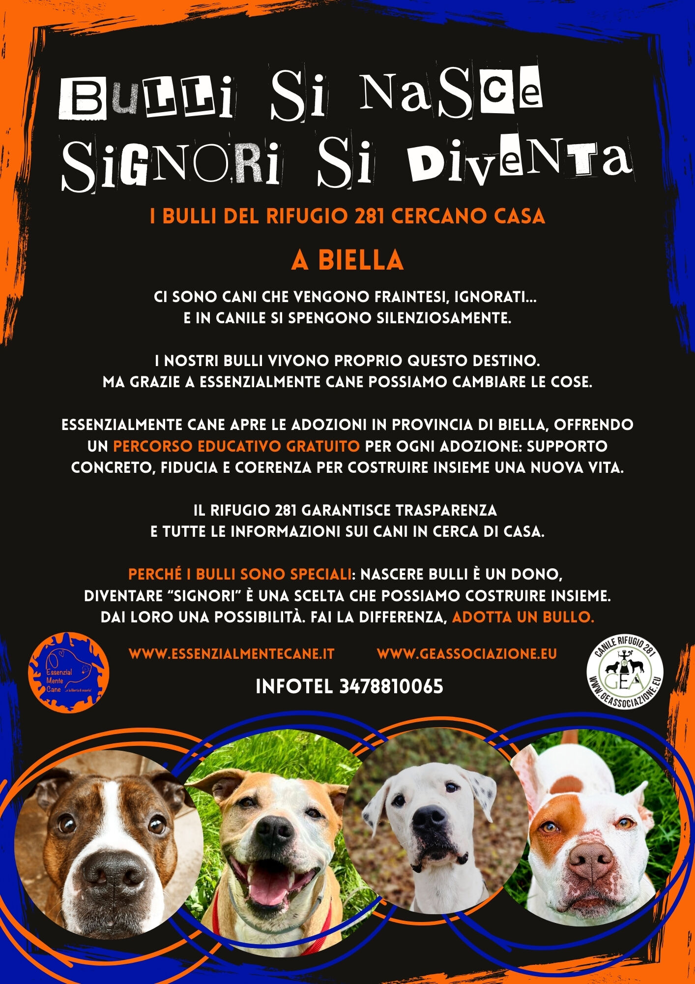 Biella Bullo