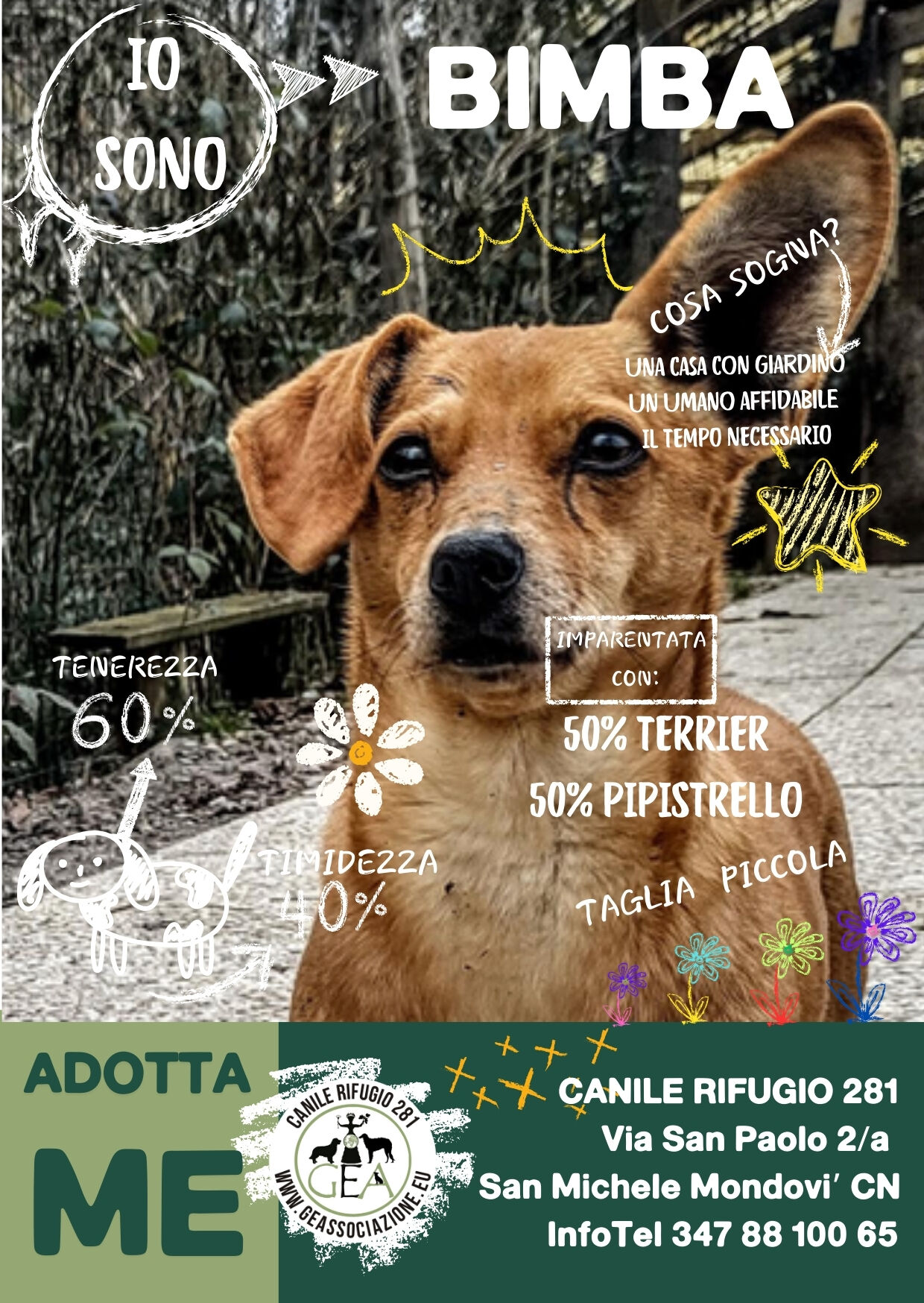 BIMBA
