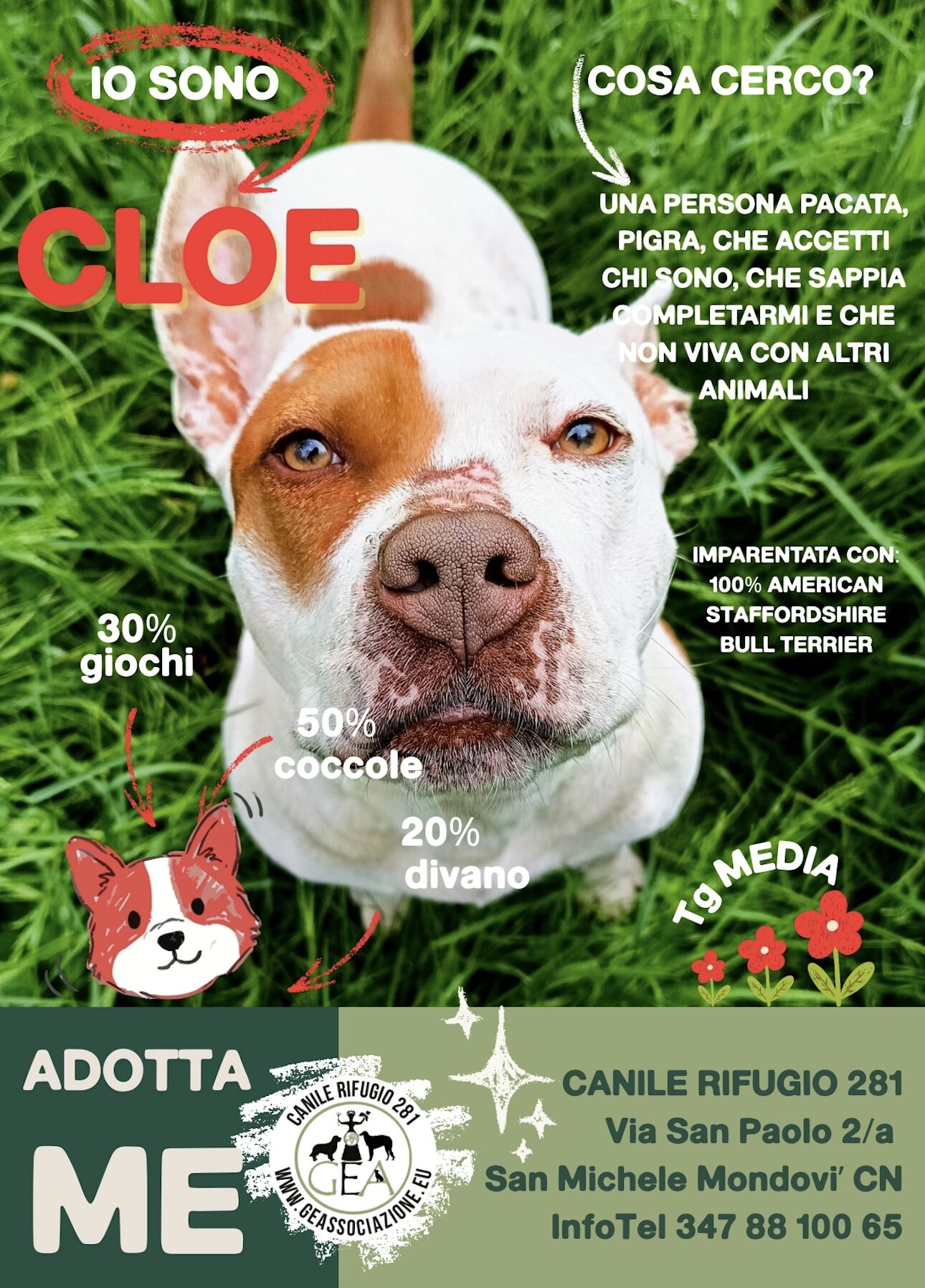CLOE