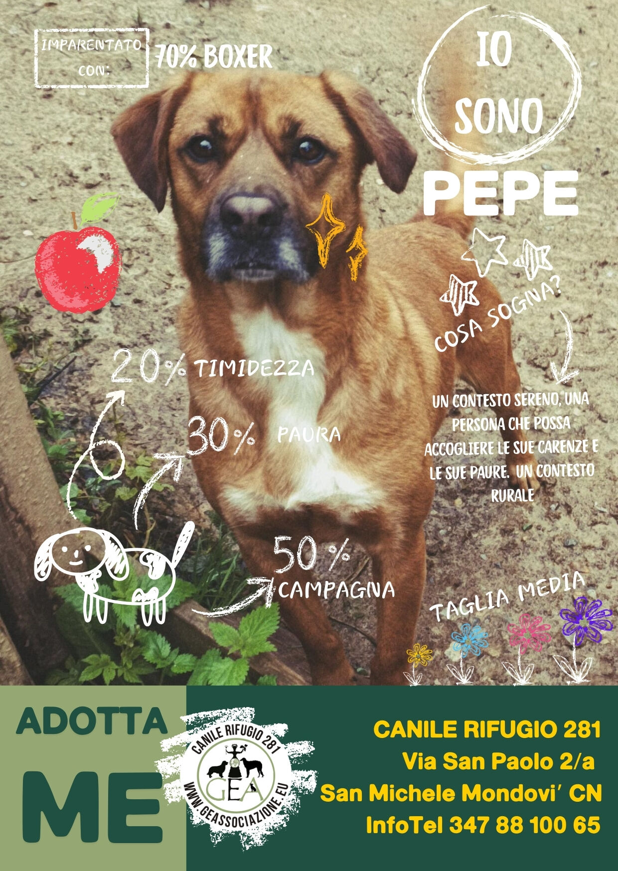 PEPE
