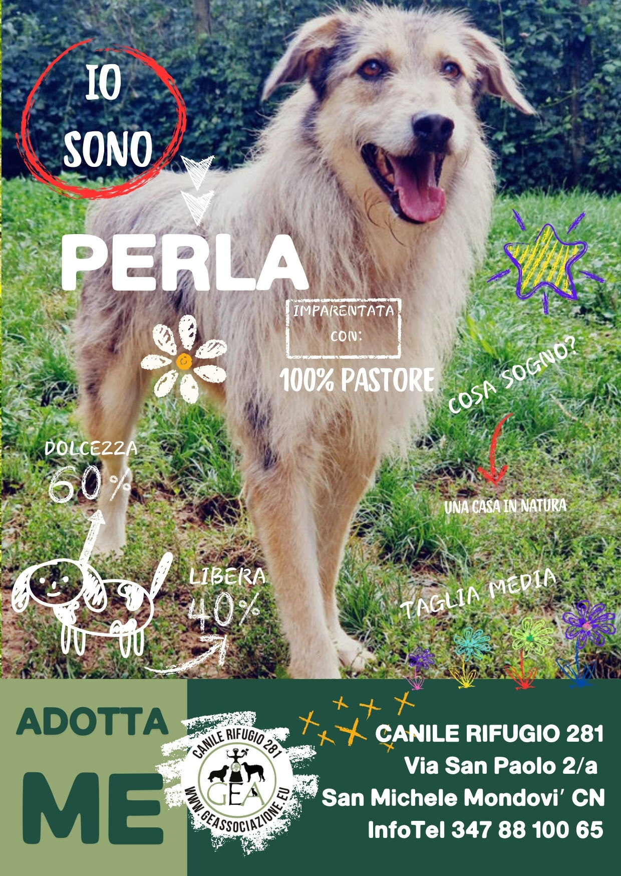 PERLA