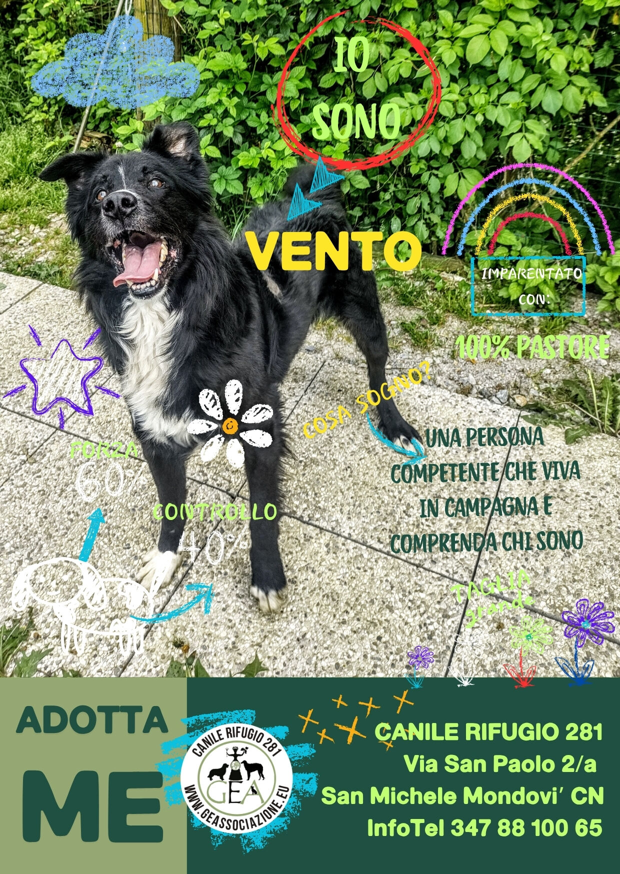 VENTO