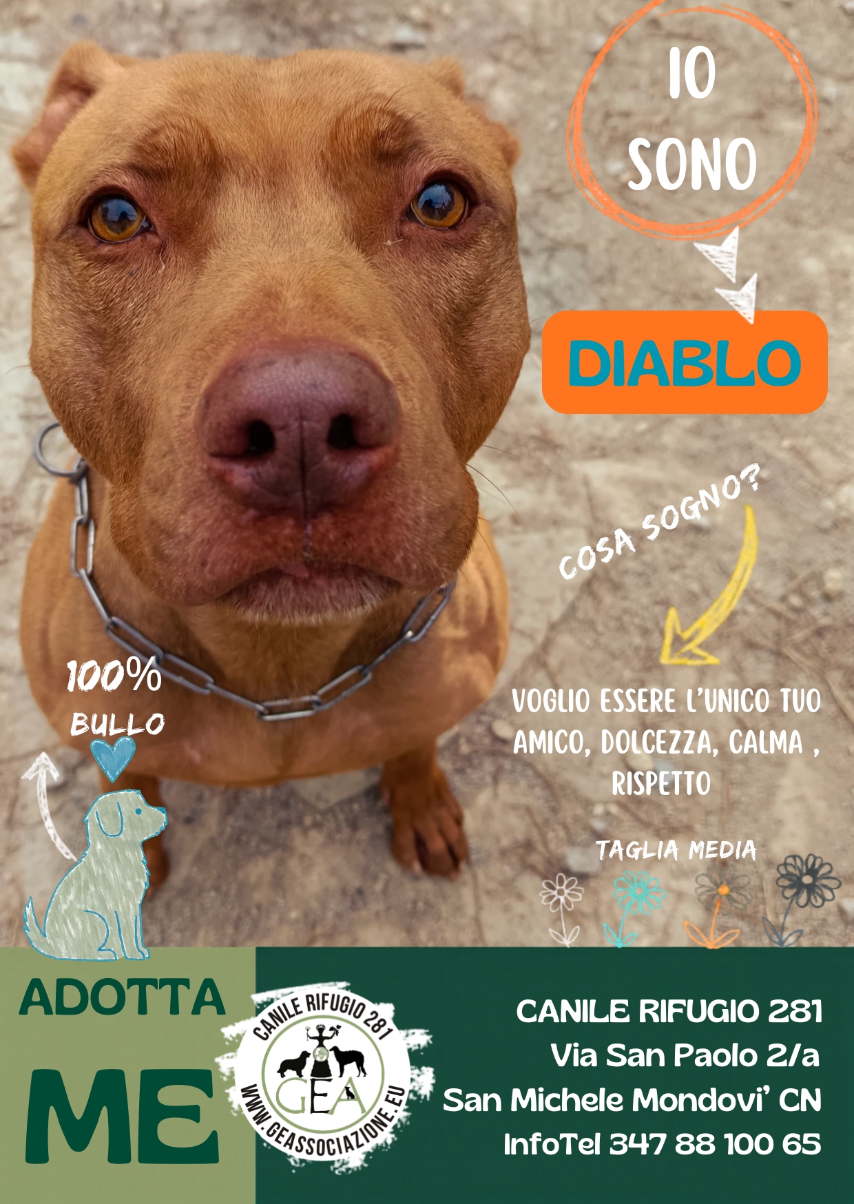 DIABLO