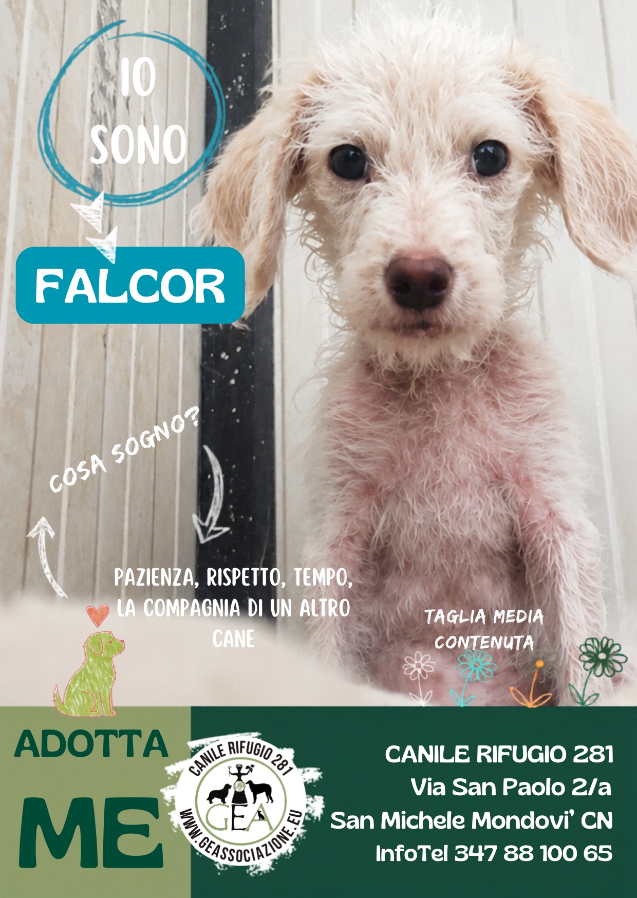 FALCOR