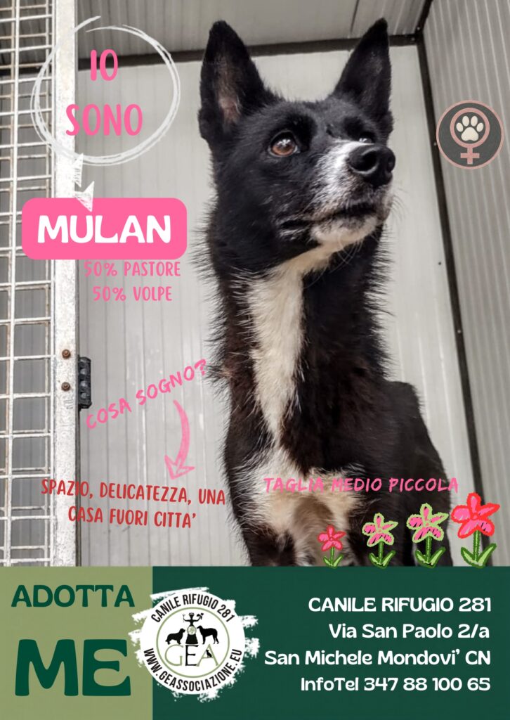 MULAN
