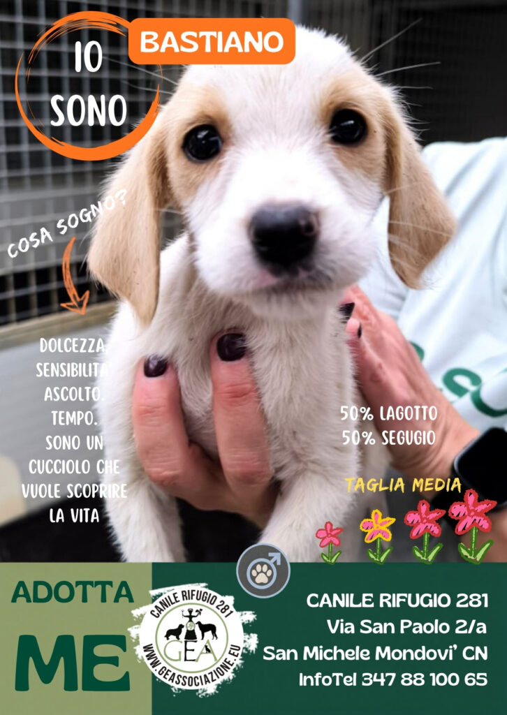 BASTIANO