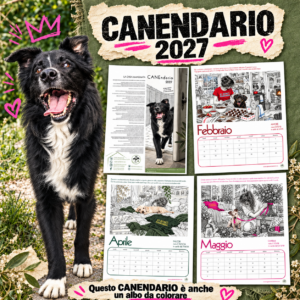 CANEndario 2027