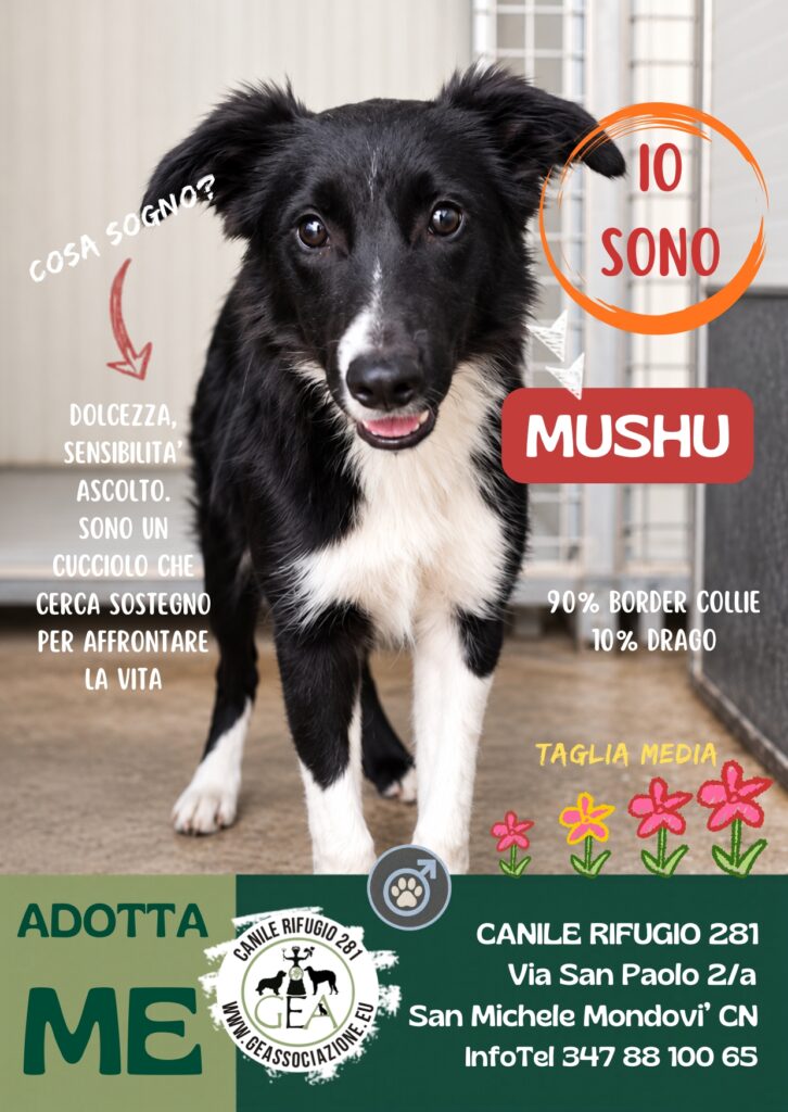 MUSHU