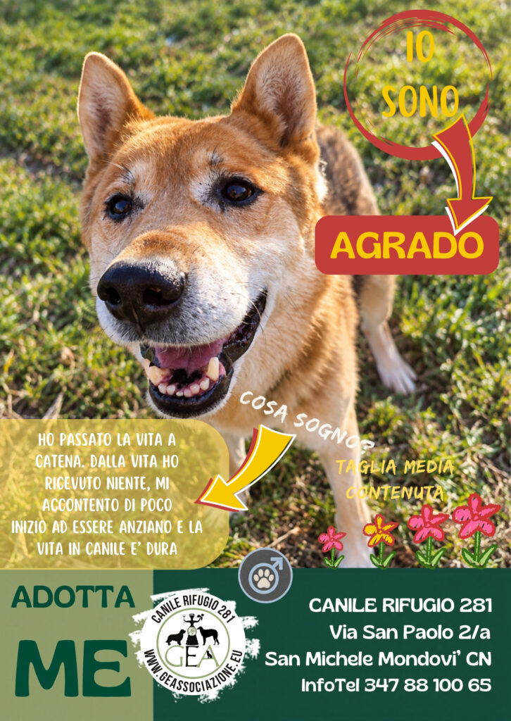AGRADO