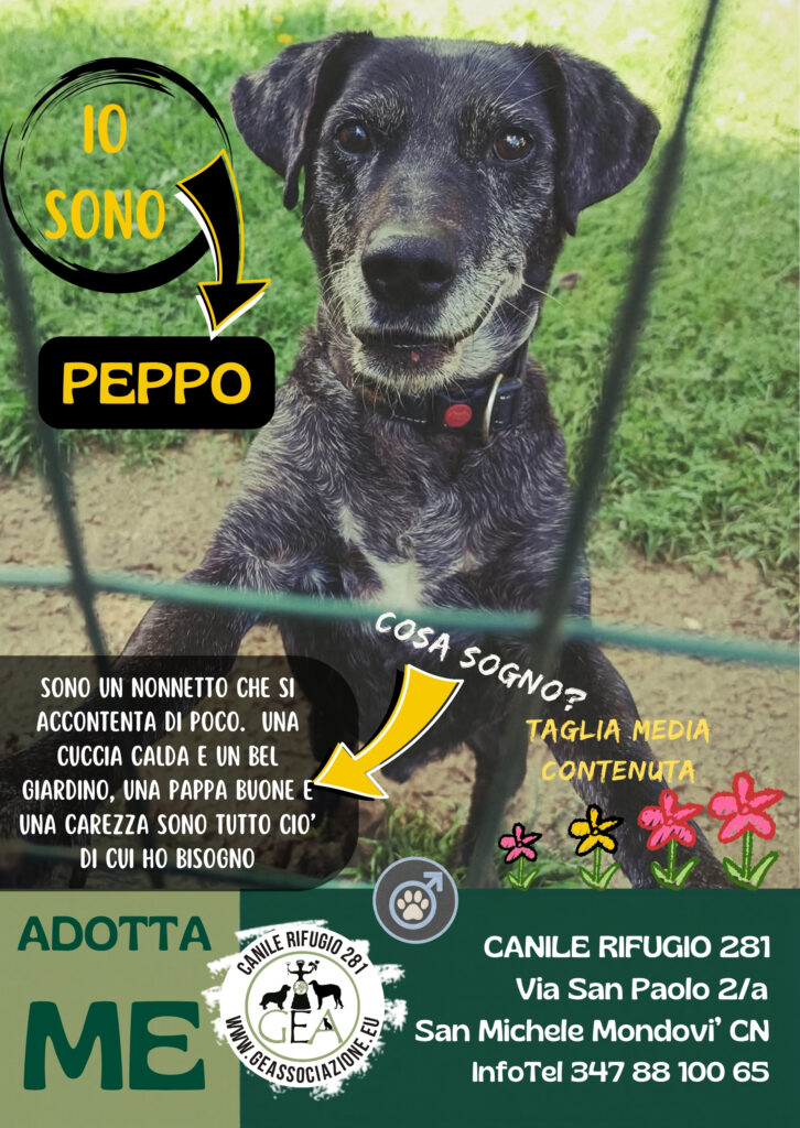 PEPPO