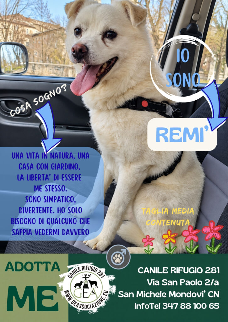 REMI’